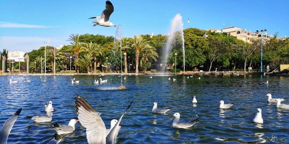 Torrevieja Experience San Julian Appartement Buitenkant foto